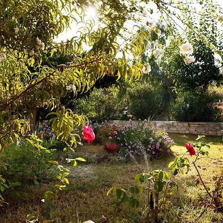 Hotel Babis Skaleta